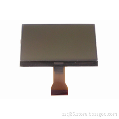 Display LCD (CTF061209)